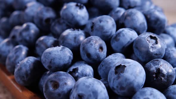 Blueberry Various Colorful Berries Closeup Juicy Ripe Summer Berry