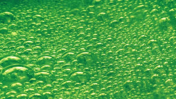 Bubbling Green Soda Drink