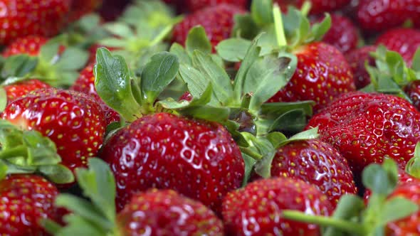 Close Up And Detailed Shot Pile Of Fresh Strawberry