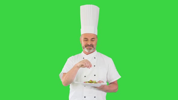 Old Male Cook Salting or Peppering Plate with Vegetables Salad on a Green Screen Chroma Key