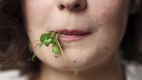 A Woman Eats Tasty Greens, Sprouts Close Up. Women's Lips Eat Microgreens. The Girl Tries Vegetarian