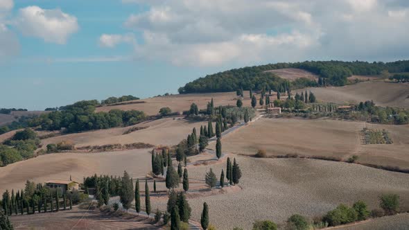 Monticchiello Winding Cypress Road in Val d'Orcia Tuscany, near Pienza