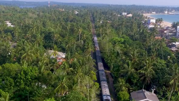 the Old Train Rides Through the Tropics with Palm Trees and Villas