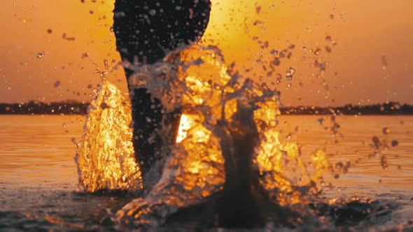 Silhouette of Legs of Boy Runing Into the Water at Sunset and Creating Splashes. Slow Motion