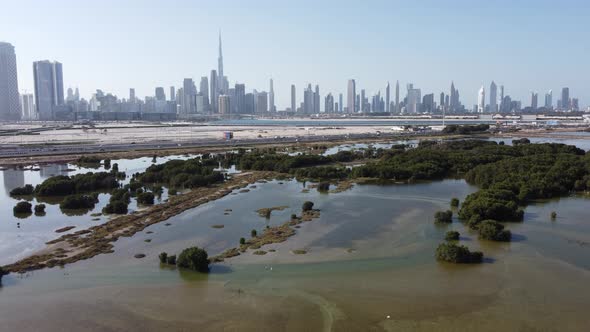 Ras Al Khor Wildlife Sanctuary, Dubai Creek