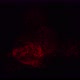 3D Abstract Object Rotating [4K Seamless Loop] (Red) - VideoHive Item for Sale