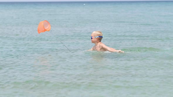 Child Goes in Sea with Butterfly Net to Catch Fish and Crabs