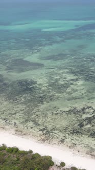 Vertical Video of the Ocean Near the Coast of Zanzibar Tanzania