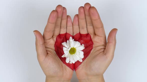 A woman's hands showed in the video a painted red heart and a white daisy in her hands