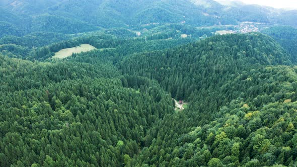 Aerial View of Mountain with Green Forest