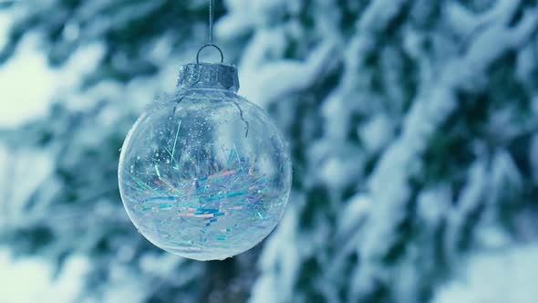 Transparent Trendy Glass Christmas Ball on Snowy Branch Firs in Winter Forest