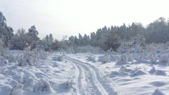 Flying over the path in snowed forest 4K aerial video