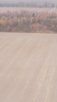 Vertical Video of a Field with Plowed Land in Autumn Slow Motion