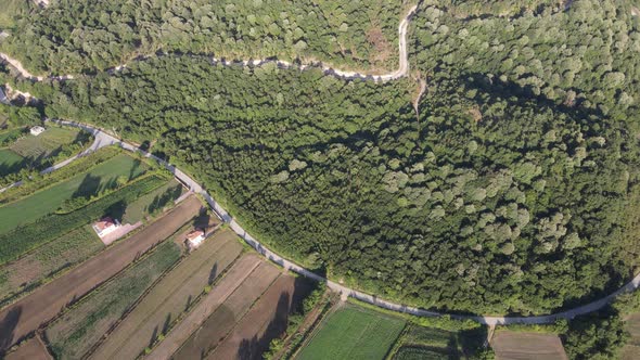 Drone View Green Landscapes