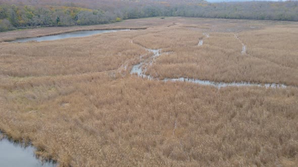 lake and reeds in autumn, Igneada, Turkey