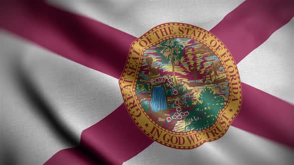 Florida State Flag Close Up HD