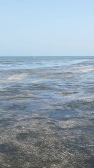 Tanzania  Vertical Video of Low Tide in the Ocean Near the Coast of Zanzibar Slow Motion