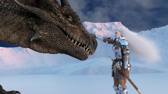 White Haired Female Warrior Knight Petting the Dragon Against alt