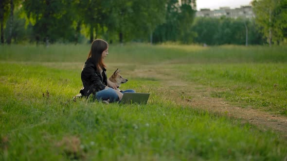 Wide Shot of a Woman Working with Laptop While Sitting on a Meadow in a Park Next To Her Dog.