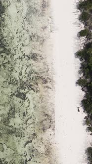 Vertical Video Empty Beach on Zanzibar Island Tanzania