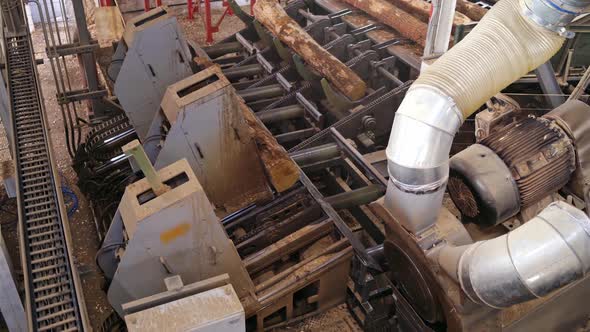 Power-saw bench. Process of cutting logs at woodworking plant.