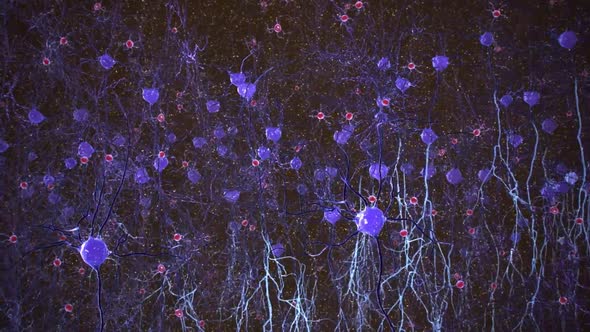 Neurons in action. electrical impulses between neuronal connections