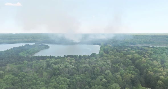 Panorama Aerial View of Forest Fire Burning Branches Trees Near Pond