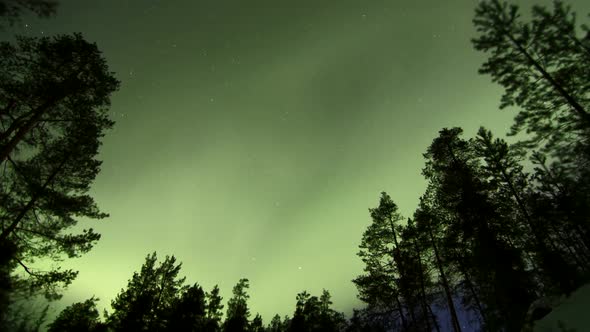 MOTION TIMELAPSE ZOOM IN of the Aurora Borealis over a clearing in a forest