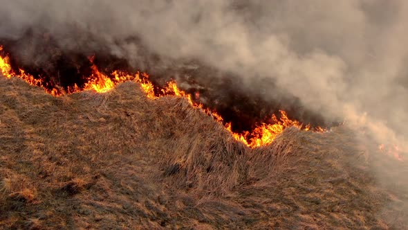 Aerial Top View of a Grass Fire