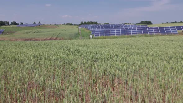 Ecology solar power station panels in the fields green energy at sunset landscape electrical innovat