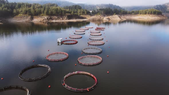 Aerial view over a fish farm with lots of fish enclosures on cages