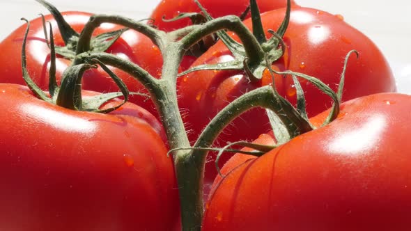 Organic fresh  tomato cluster on the table slow tilting vegetable 4K 2160p UltraHD footage - Slow ti