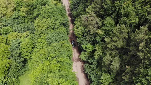 Aerial Top View Car Is Driving on a Bad Road in the Woods Between the Trees, Bypassing Potholes on