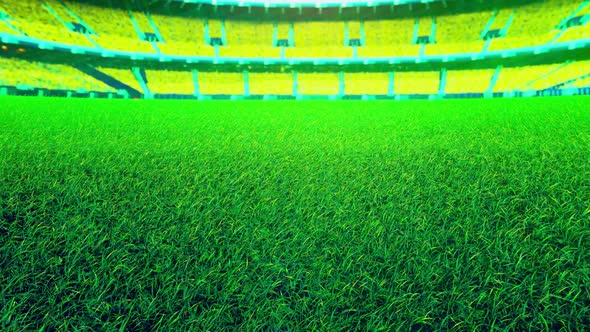 Flying On Grass In Green Stadium 01 HD