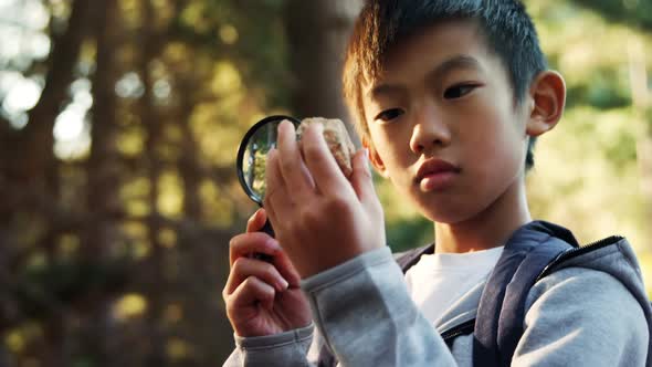 Kid examining a rock in the forest 4k