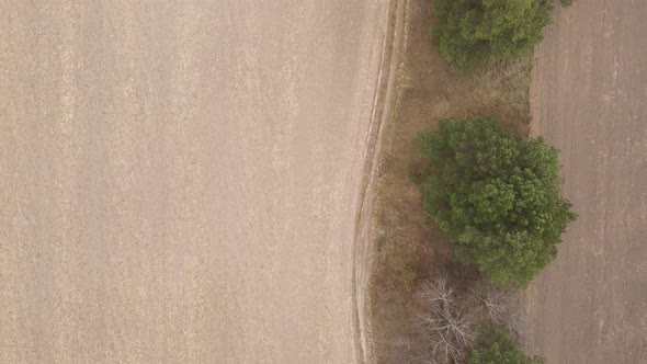 Land in a Plowed Field in Autumn