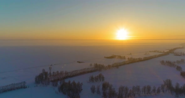 Aerial Drone View of Cold Winter Landscape with Arctic Field, Trees Covered with Frost Snow and