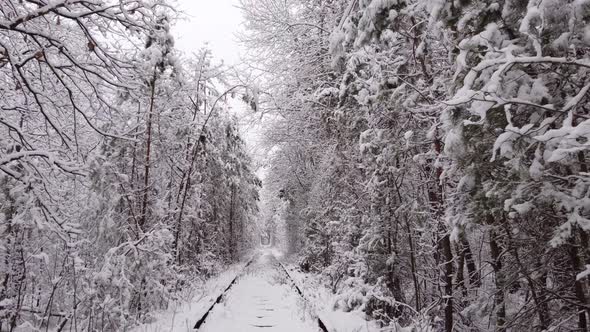 4k. Aerial view on winter Natural Tunnel of Love with Railway Road. Klevan, Ukraine. picturesque fro