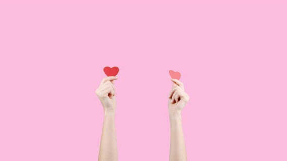 Female Blogger Hold in Hands Little Red Hearts on Pink Background