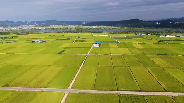 Autumn Field Grain Unmanned Aircraft 