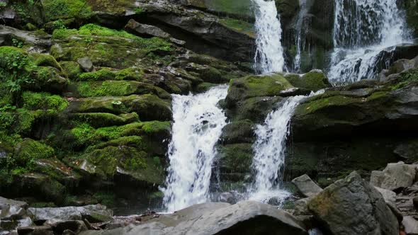 Wild Mountain River Close Up Abundant Clear Stream. Detail Static Shot of Babbling Creek with Stone