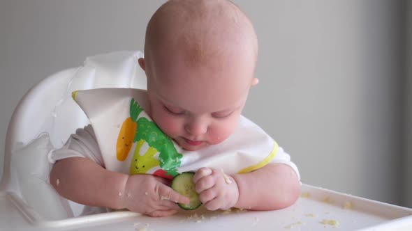 Baby Eating Cucumber. Healthy Snack, Food And Nutrition For Children. 