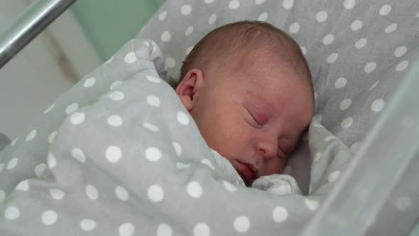 Newborn Baby Red Cute Face Portrait Early Days Sleeping In Medical Glass Bed On Grey Background