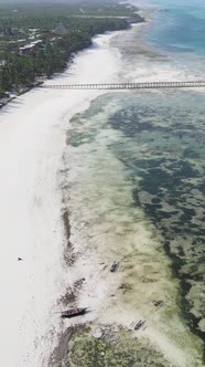 Vertical Video of Low Tide in the Ocean Near the Coast of Zanzibar Tanzania