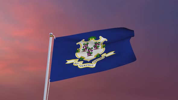 Flag Of Connecticut Waving