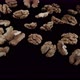 Flying Walnuts Kernels on a Black Background - VideoHive Item for Sale