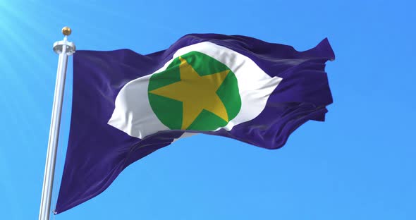 Mato Grosso State Flag, Brazil