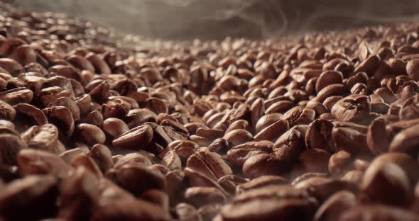 Close Up of Seeds of Coffee