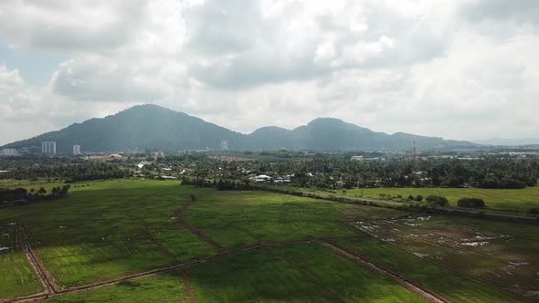 Fly over plantation with background Cherok Tokkun hill