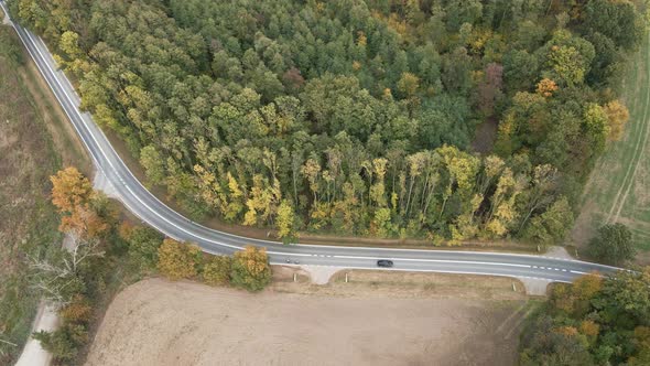 Car Moving on Road Through Forest